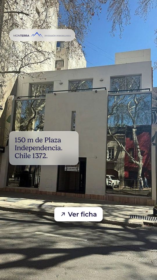 Historia de Instagram de Monterra